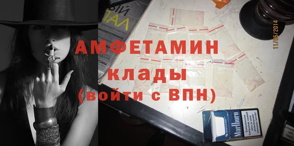 шишки Дмитров
