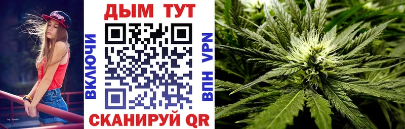 Бошки Шишки VHQ Никольск